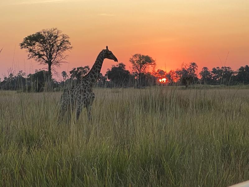 The Best Trip Ever planned by the Best Travel Experts!