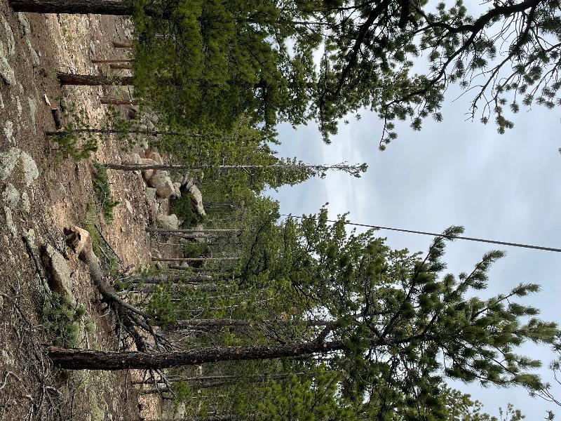 Real Zip-liners zip into ZiplineGear.com to get their gear!