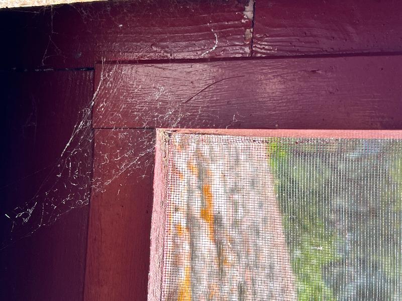 Disappointing Property