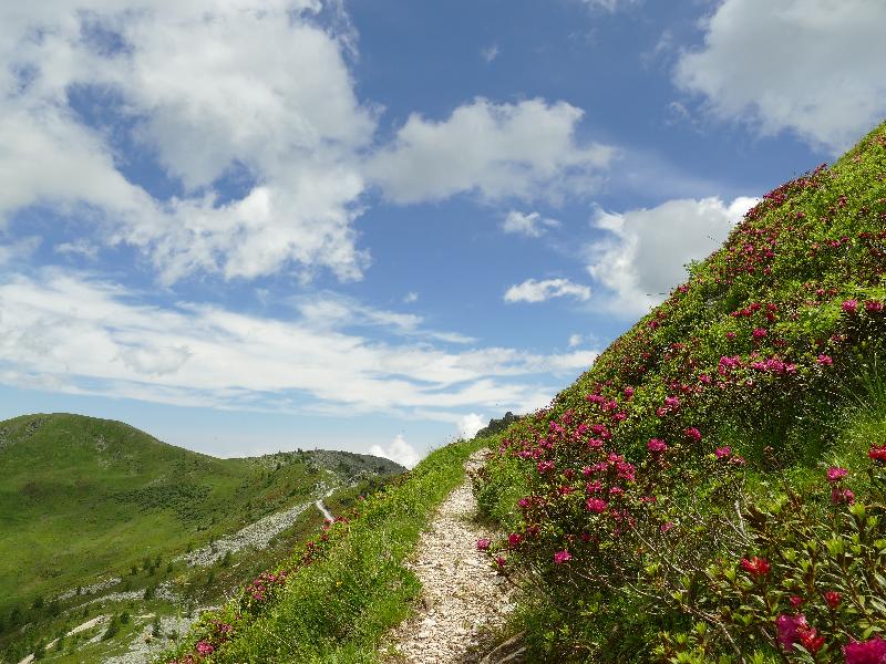 Fantastsic holiday exploring Piedmont - delightful hosts and wonderful food