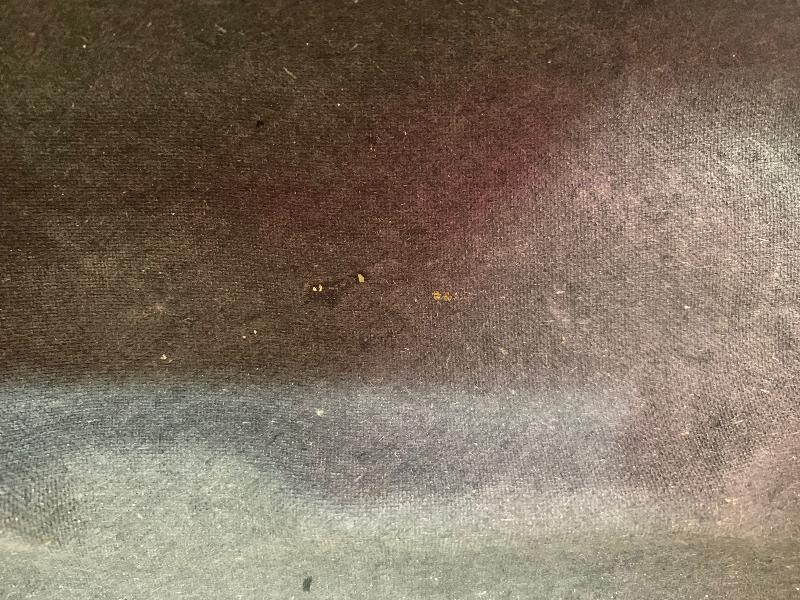 GLITTER in paint