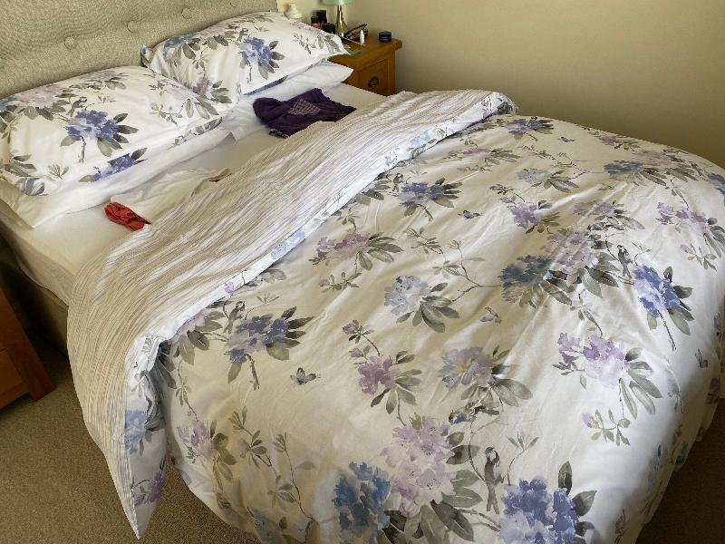 SANDERSON RHODERA DUVET COVER SET SKG AMETHYST**