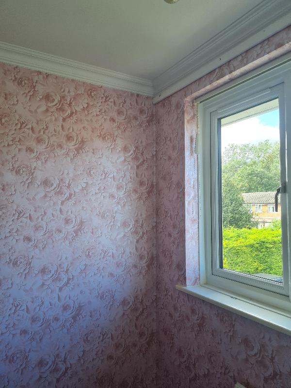 Excellent service, gorgeous wallpaper