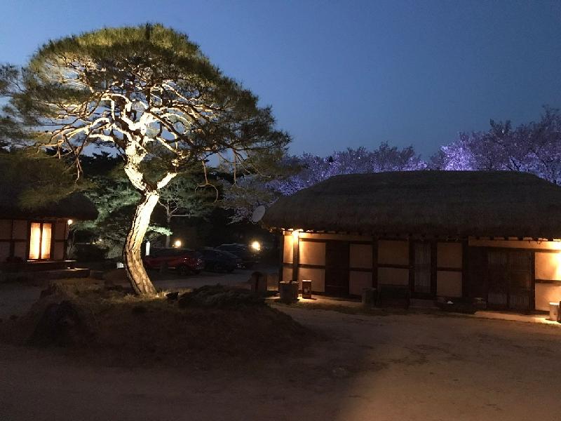 5* service start to finish, a truly beautiful country - we will go again!