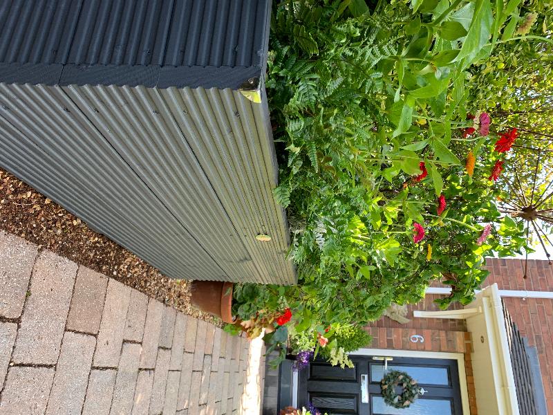 Deluxe planter
