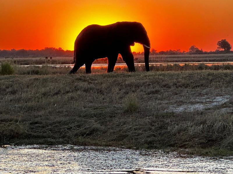 Africa at her best!
