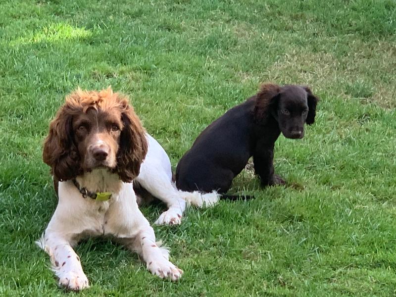 Have both Sam and Charlie with you