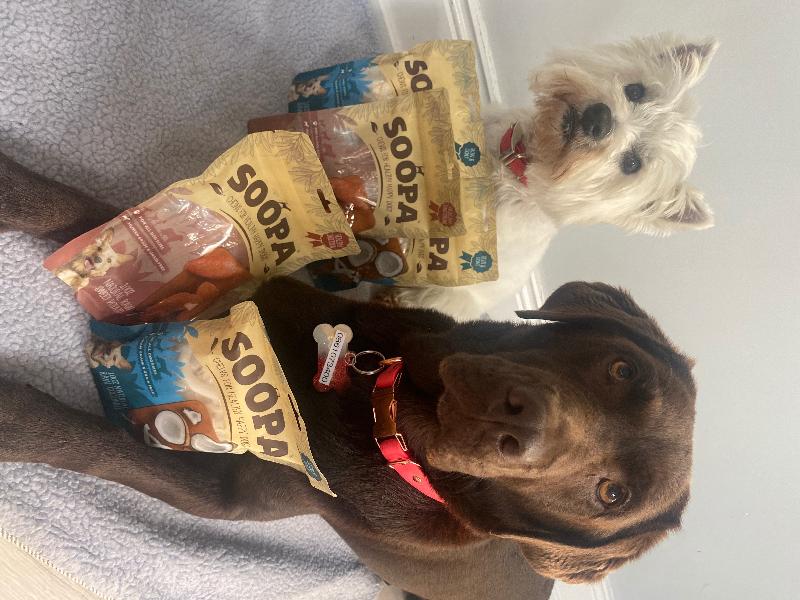 We Woof Soopapets
