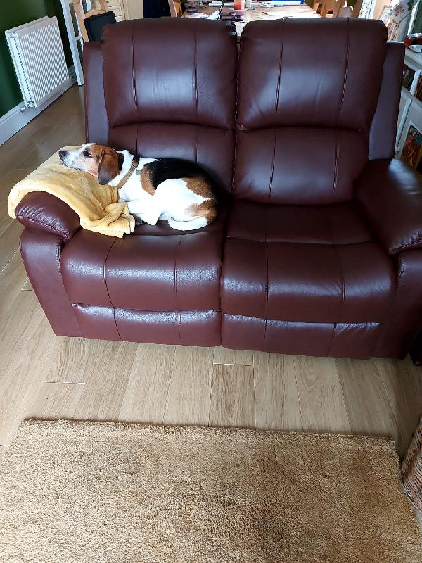 LEATHER SUITES
