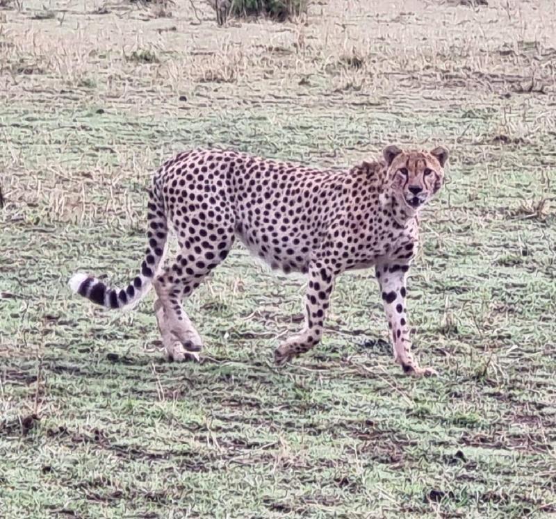 The most amazing trip I have ever done to Africa