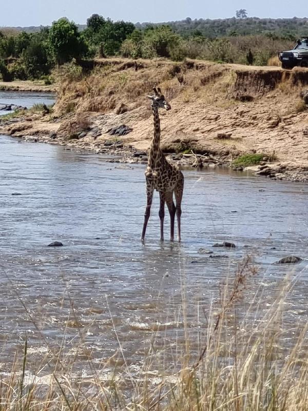 The most amazing trip I have ever done to Africa