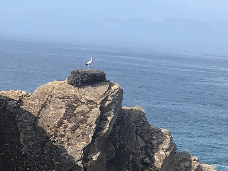 varied & enjoyable walking holiday in Portugal. Knowledgableand friendly gu