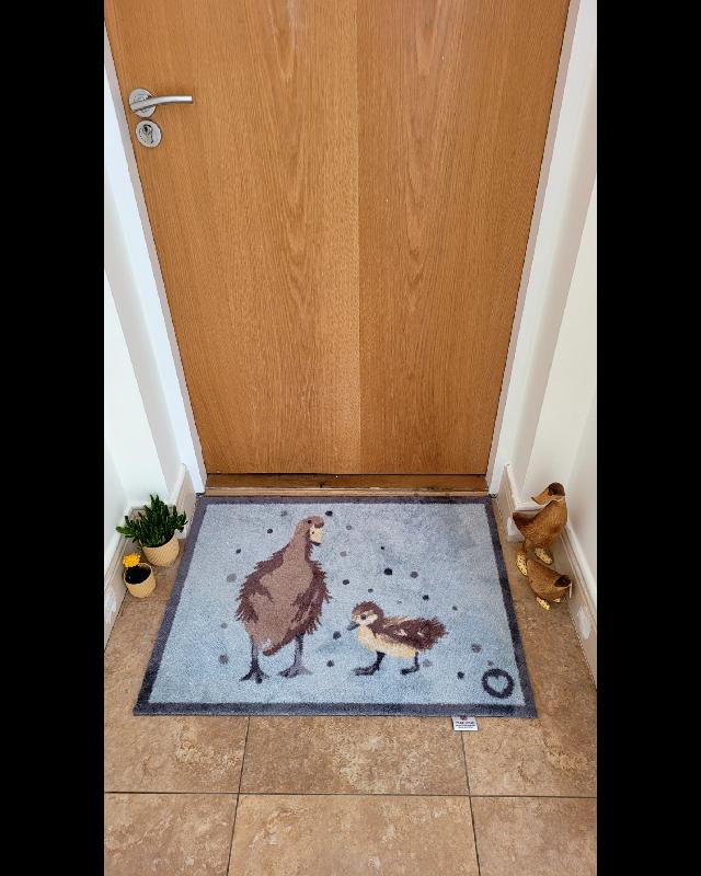Two ducks