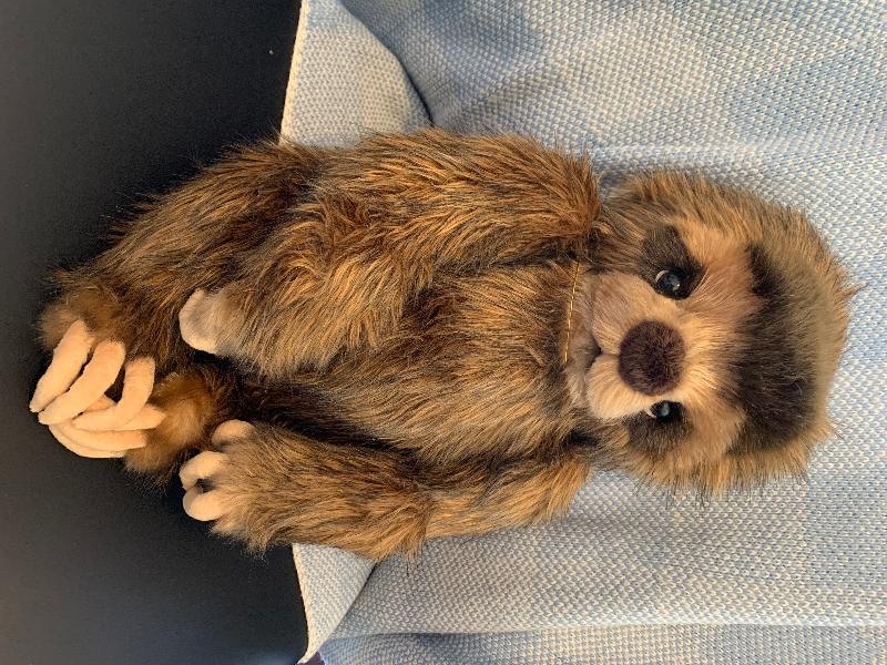 Sweet, Adorable Tardy!