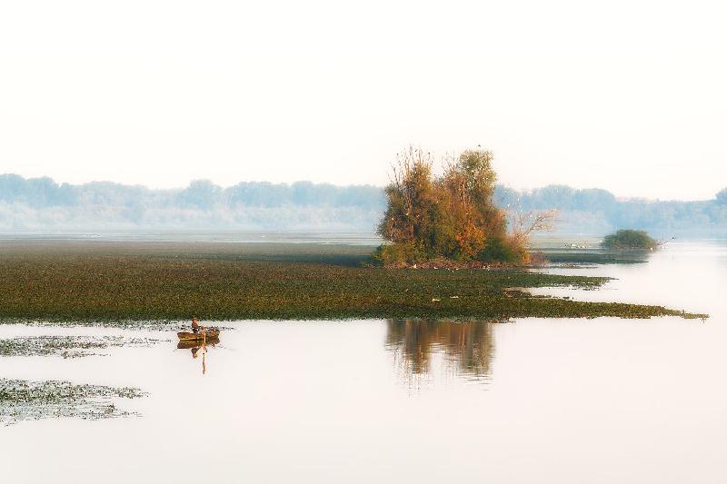 Italian Renaissance Serenity