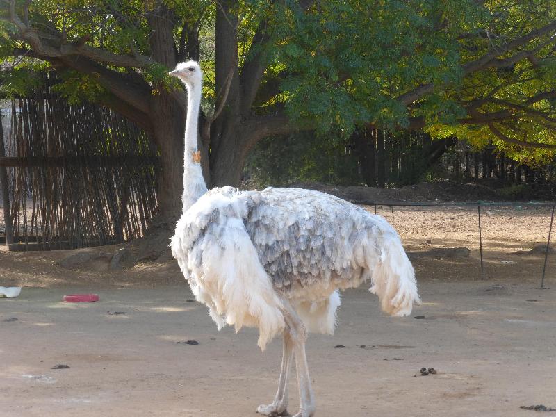 With one exception, the tour guides have always been extremely well-informed and the tour managers…