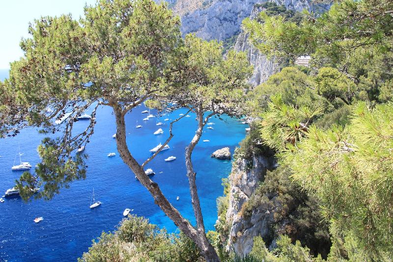 A wonderful holiday.  Our first visit to Italy.  Beautiful scenery and good company.  Well chosen excursions.…