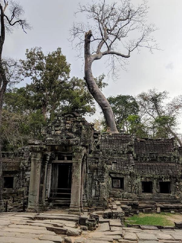 Easy to book, excellent communication, fabulous trip.  A first class holiday experience from begging to…