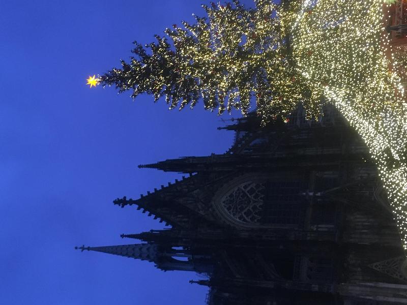 Enchanting Rhine and Yuletide Markets River Cruise