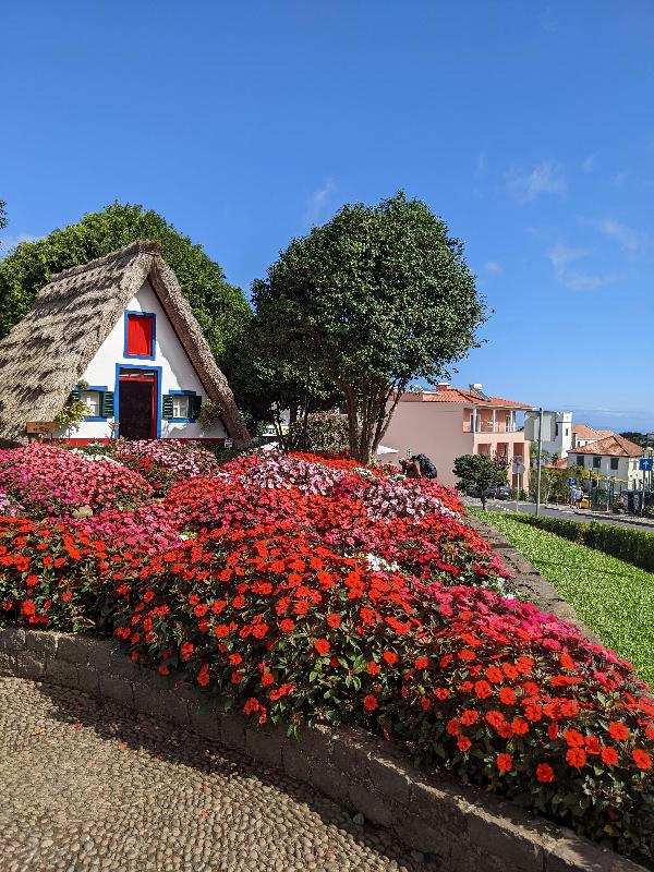 Madeira  the Pearl of the Atlantic for solo travellers