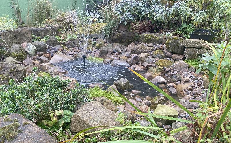 Experts recommend a pond and now I've got one.