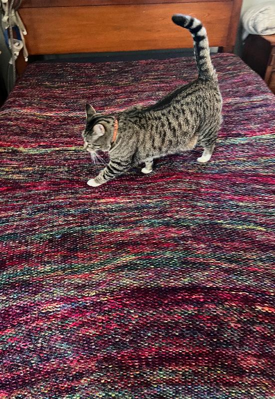 My new favorite yarn.