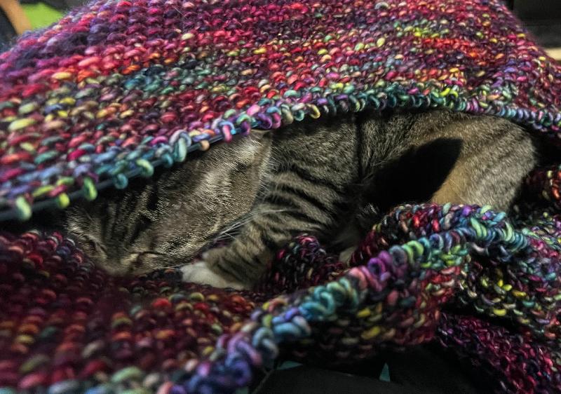 My new favorite yarn.
