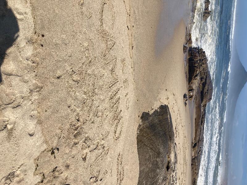 Ein super tolles Erlebnis! Top Organisation, super Unterkünfte. Bestens