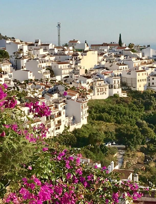 Kompetente Beratung und Antworten auf alle Fragen