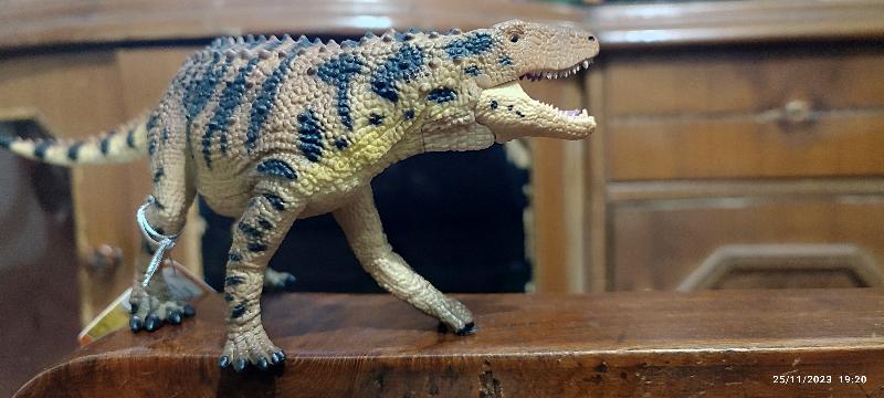 Finest Dino Shop with superfast service...