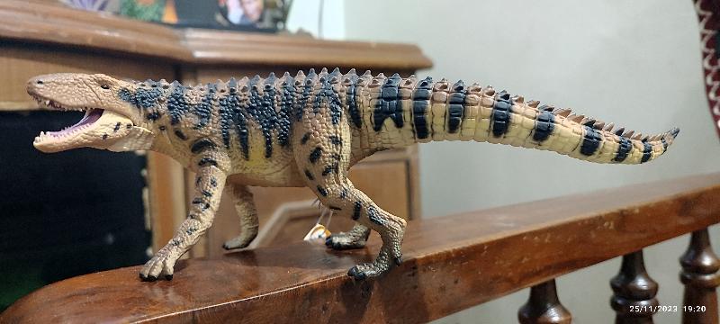 Finest Dino Shop with superfast service...