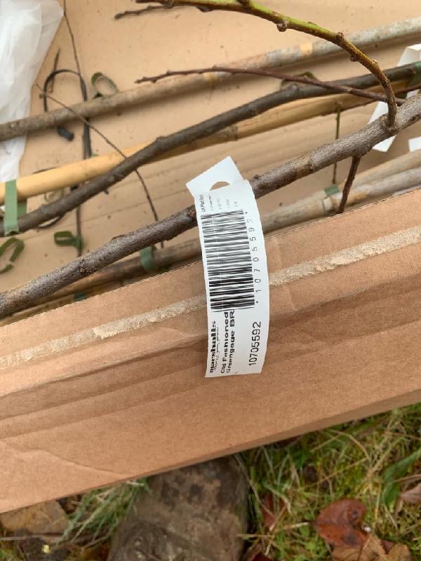 Recent order of Greengade tree has rubbish root system