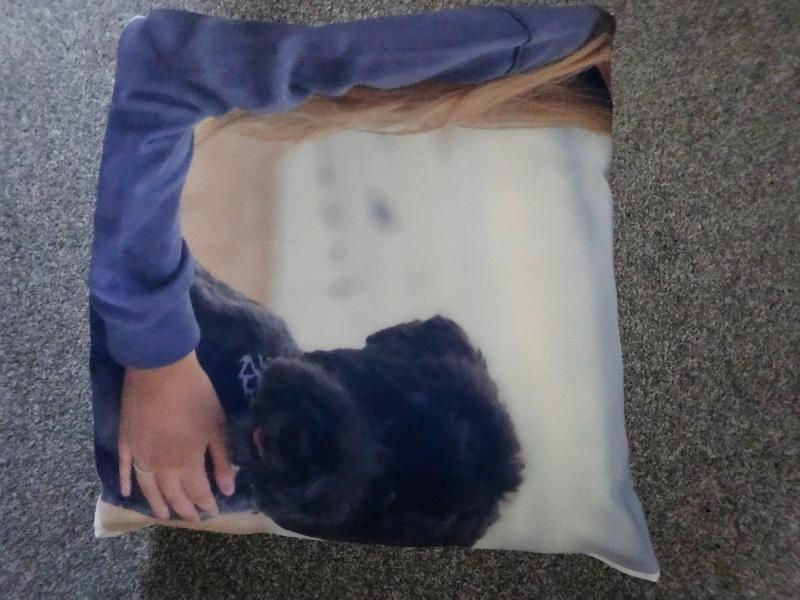 Photo not in full view on cushion
