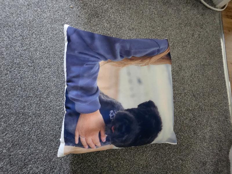 Photo not in full view on cushion