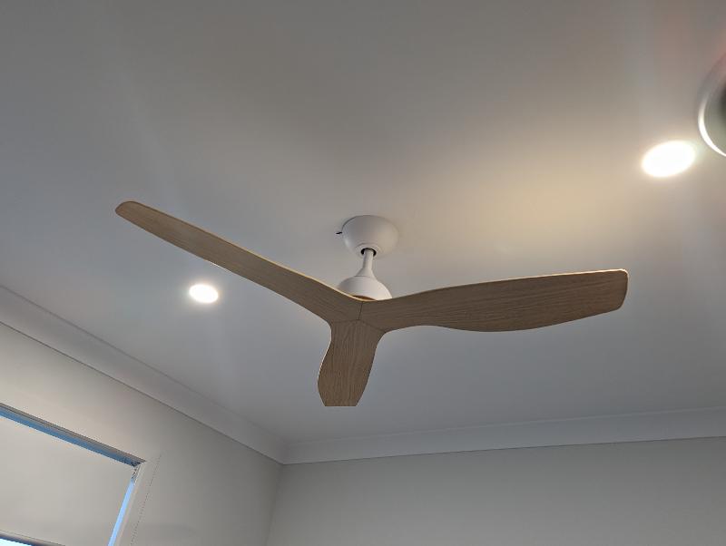 Variety of brands choices and excellent fans!