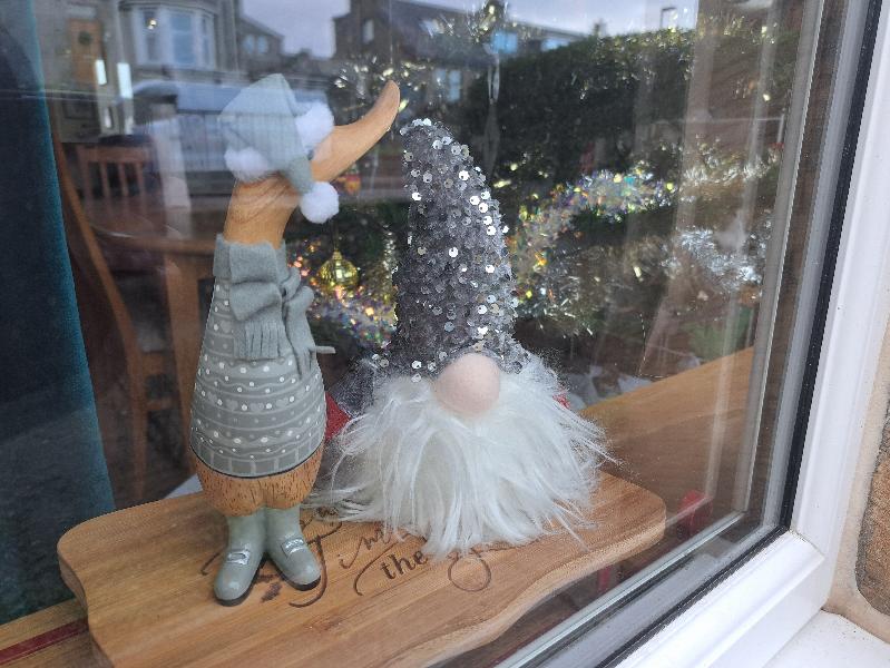 The perfect dcuk to snuggle by the Christmas Gonk & Tree in our window ?