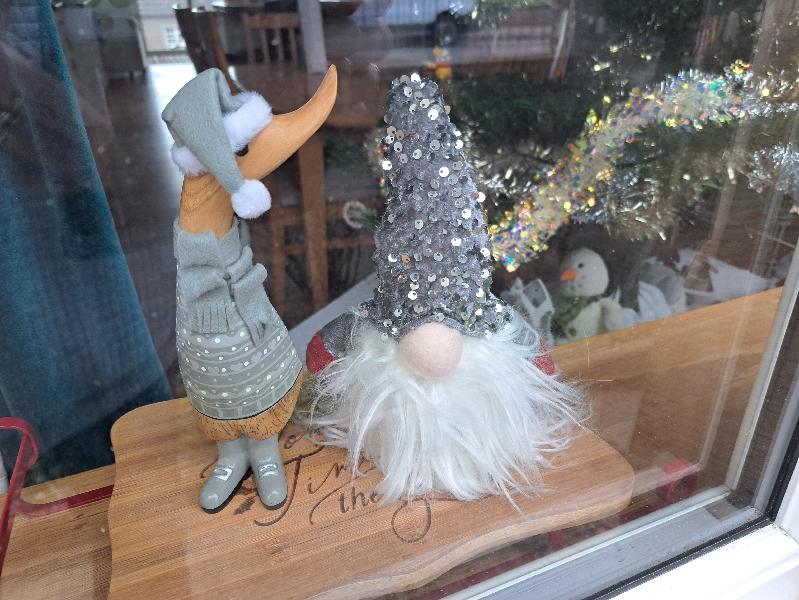 The perfect dcuk to snuggle by the Christmas Gonk & Tree in our window ?
