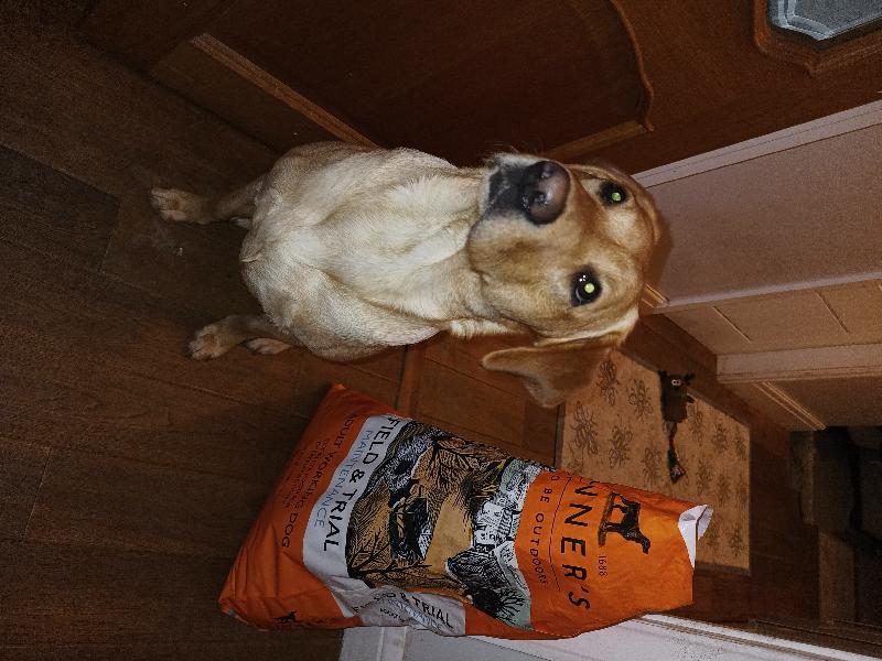 Quality ingredients for less active working dogs