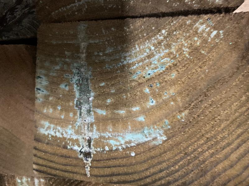 Holzqualität enttäuscht