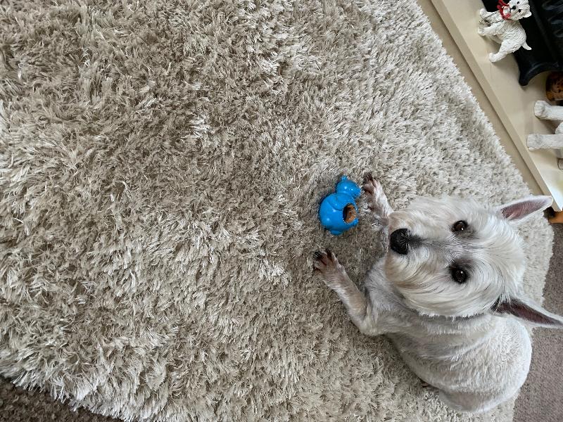Belly bites