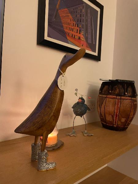 Disco Duck delights!