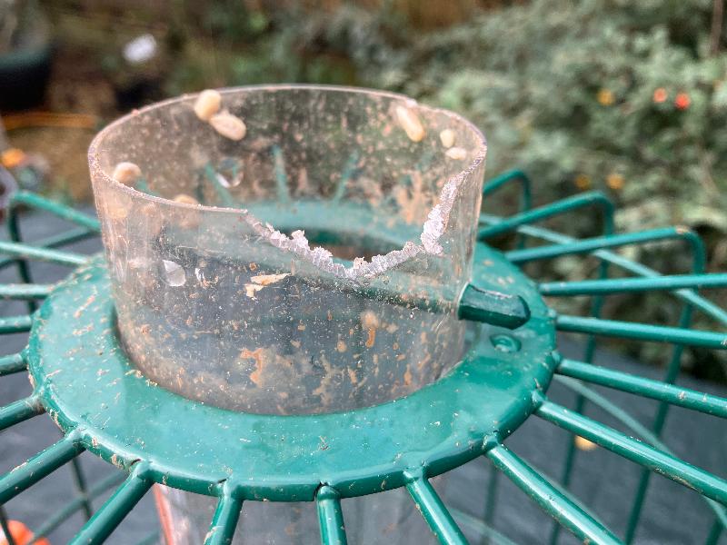 Unfortunately this feeder is not as squirrel proof as it claims!