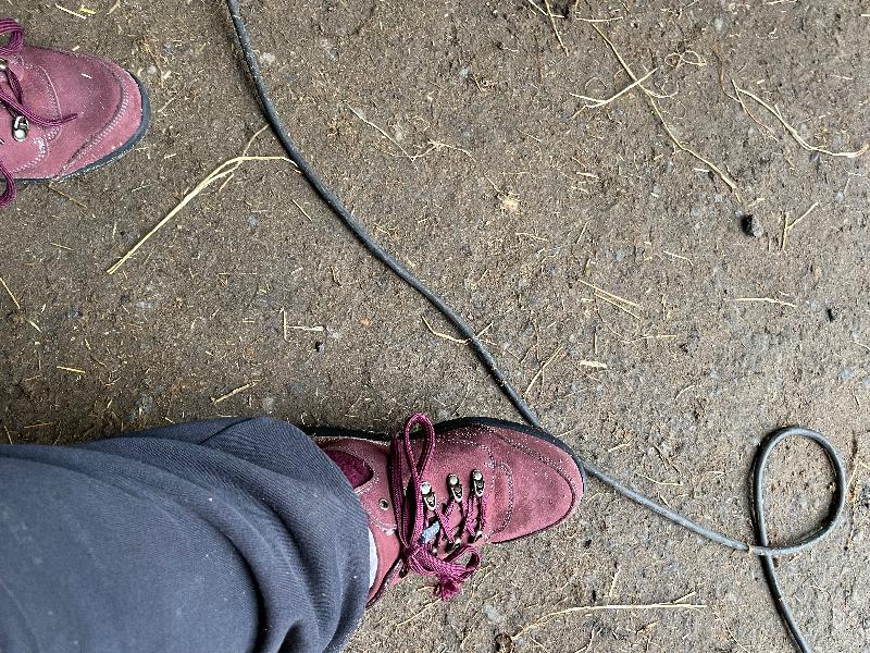 They are great and such a comfortable boot