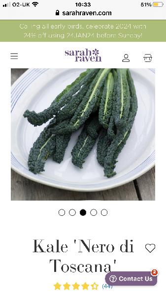 Kale 'Nero di Toscana' (100 seeds)