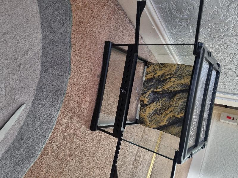 30x30 glass terrarium