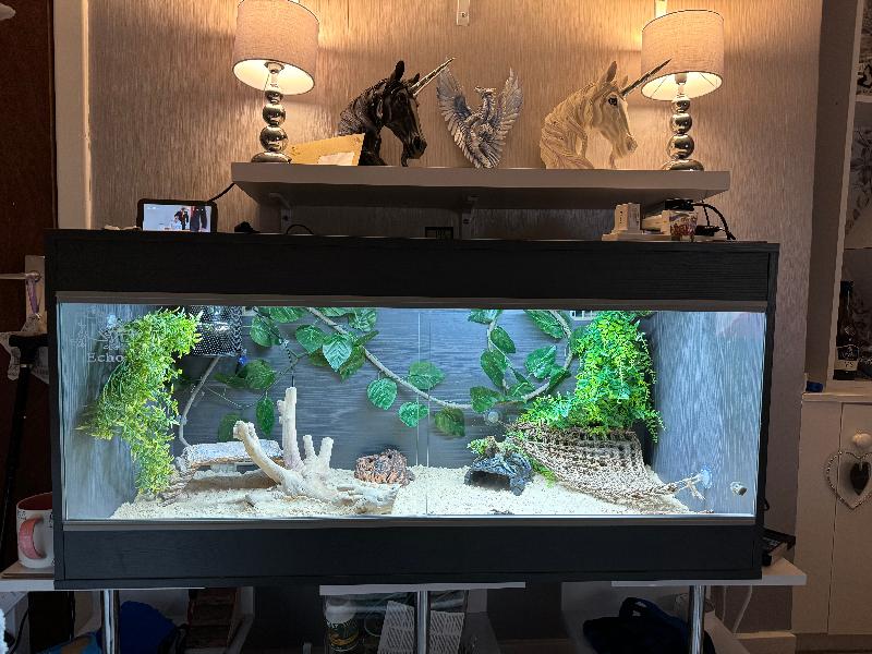 Would use swell reptiles again.