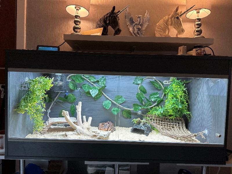 Would use swell reptiles again.