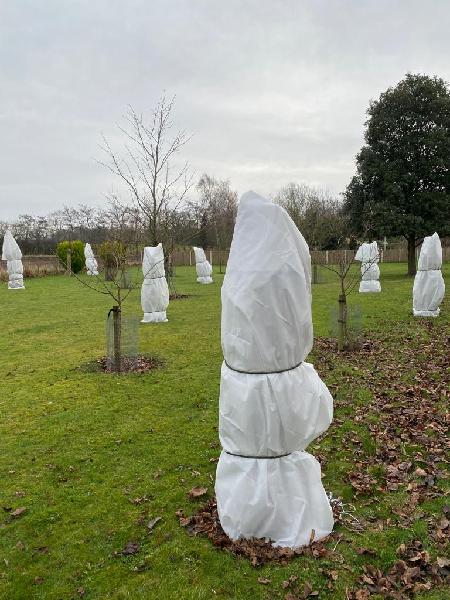 Large Fleece Bagsfor Frost Protection