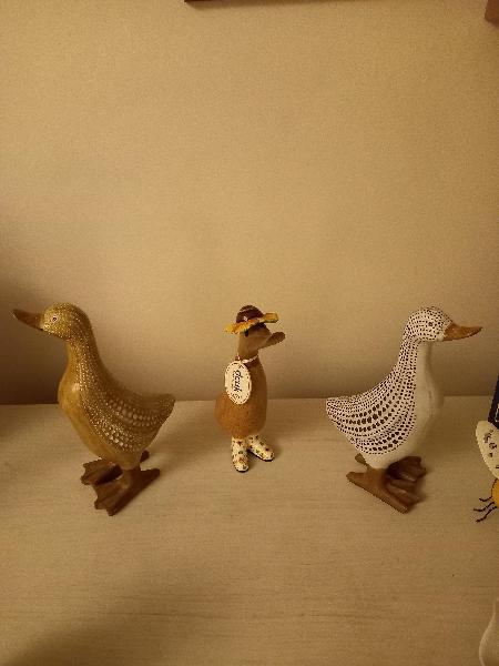 I smile, lovely duck