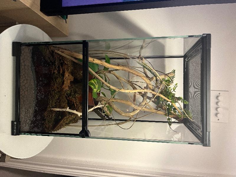 Fantastic tank with speedy delivery!